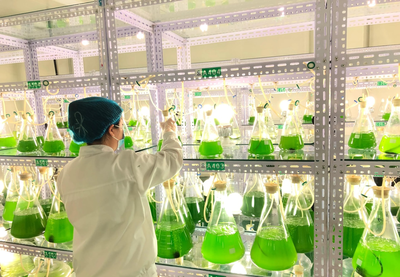科技賦能，振興鄉村 內蒙古企業捐贈千萬元微藻修復液助力農牧業增產增收